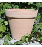 Urtepotte antik terracotta (Arena Ø 6 cm)
