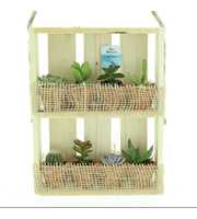 Bio Succulenten mini 224-HANGKIST