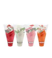 Anthurium 4 color mix in sleeve