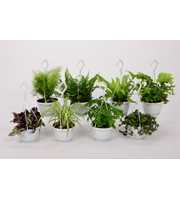 Groen Mix 12cm - Small Swing