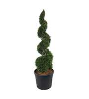 Thuja occ. 'Smaragd'