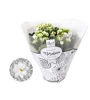 Kalanchoe Rosalina 15cm TST wit met glitter