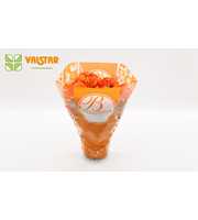Begonia 13cm Bellisima hoes Ton sur Ton Batik Oran
