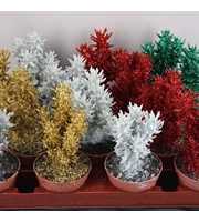 art.936succulent Boompje Twinkle glitter 8,5 cm