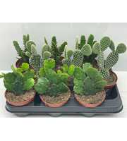 272 Mickey Mouse oren 10,5 cm