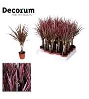 Tummy Make-Upz op stam roze (Decorum)