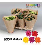 Kalanchoe Paper Sleeve - Mix