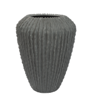 Saguaro Cactus 