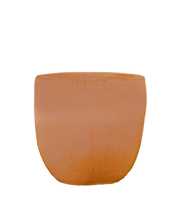 Caucasus Terracotta