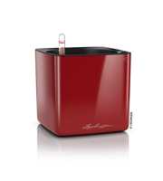 CUBE Glossy 16 - All-In-One Scarlet*