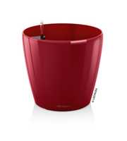 CLASSICO Premium 60 - All-In-One scarlet glossy
