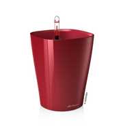 DELTINI - Table planters All In One scarlet red