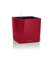CUBE Premium 30 - All-In-One scarlet*