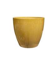 Mustard Pot Yellow