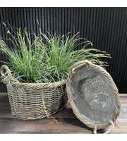 Basket Oval Planter w/twistet top handle