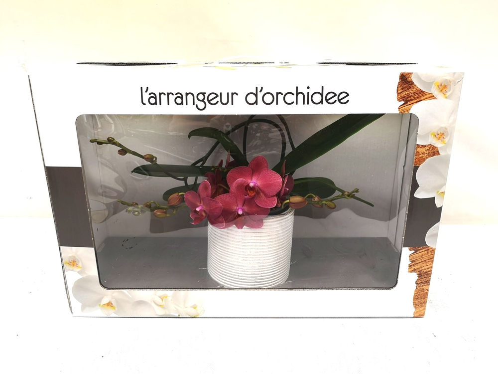 L'arrangeur D'orchidee Special (GROEN).