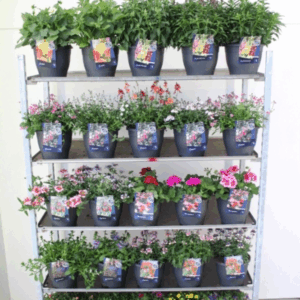 Perkplanten mix-kar