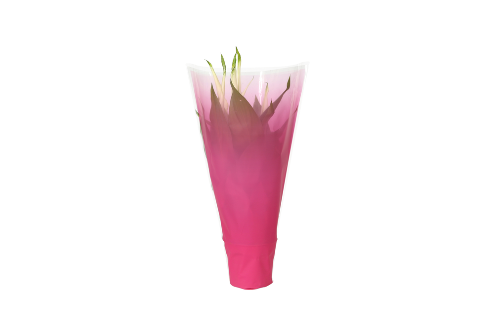 KP-794.1 RZ - Spathiphyllum 9cm in roze.