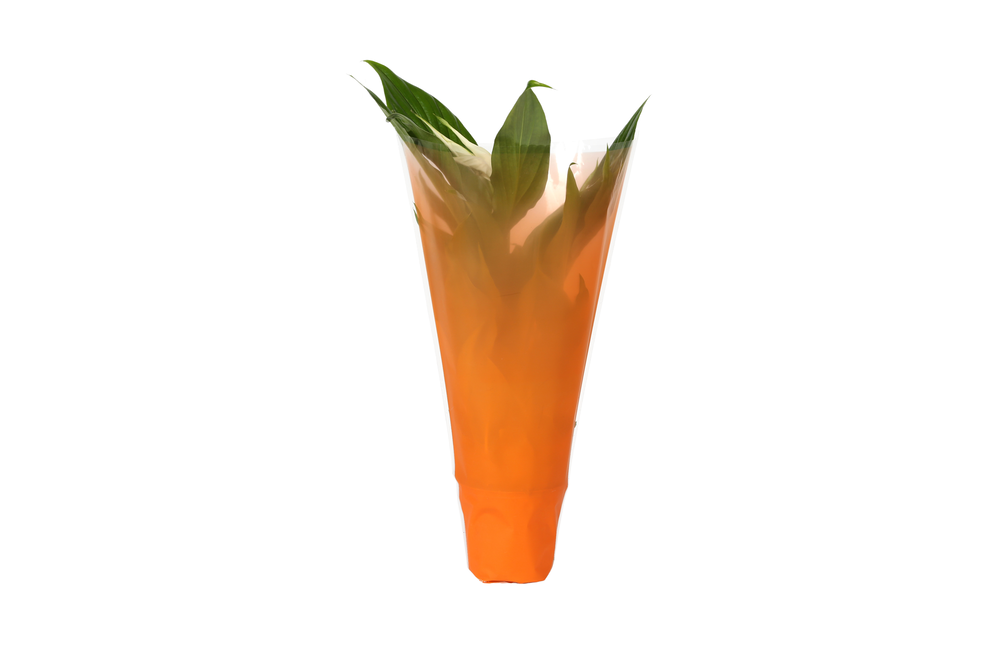 KP-794.1 OR - Spathiphyllum 9cm in oranje hoes.