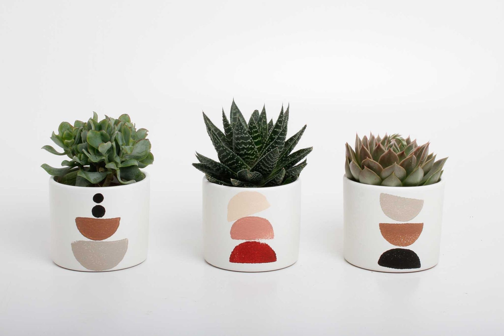 succulenten mix in Maan keramiek.