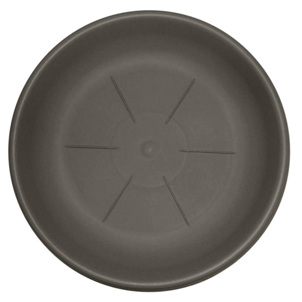 Saucers Rotondo 10.