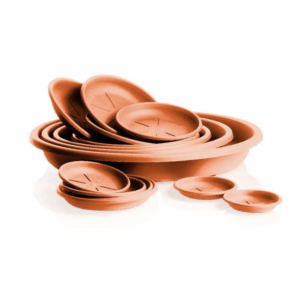 Saucers Rotondo 12.