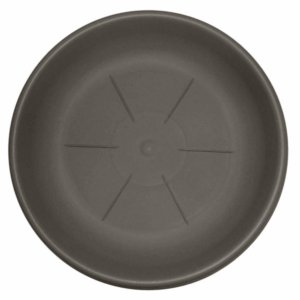 Saucers Rotondo 26.