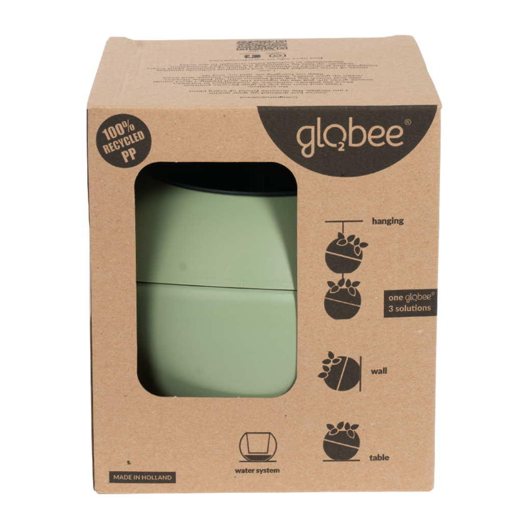 Globee Ampel ECO Plast in Box.