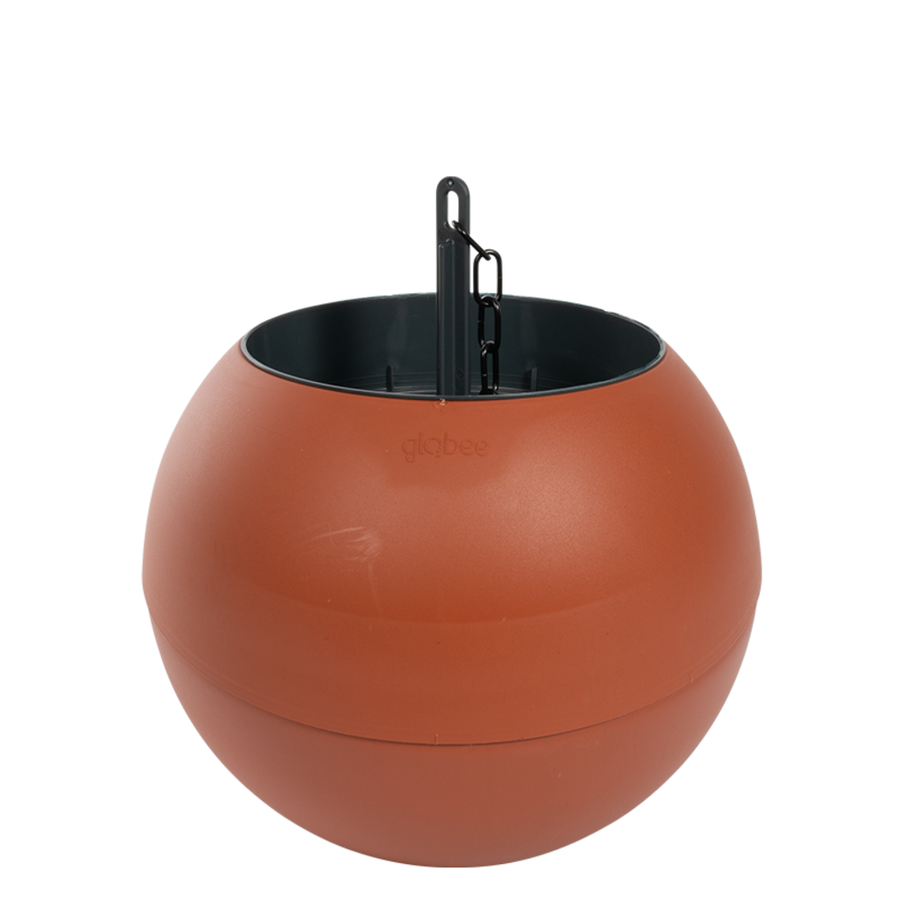 GLO-1091.png