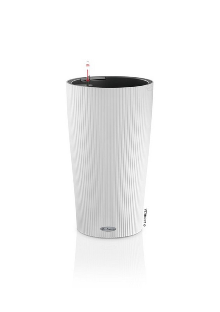 LZA-13950.png