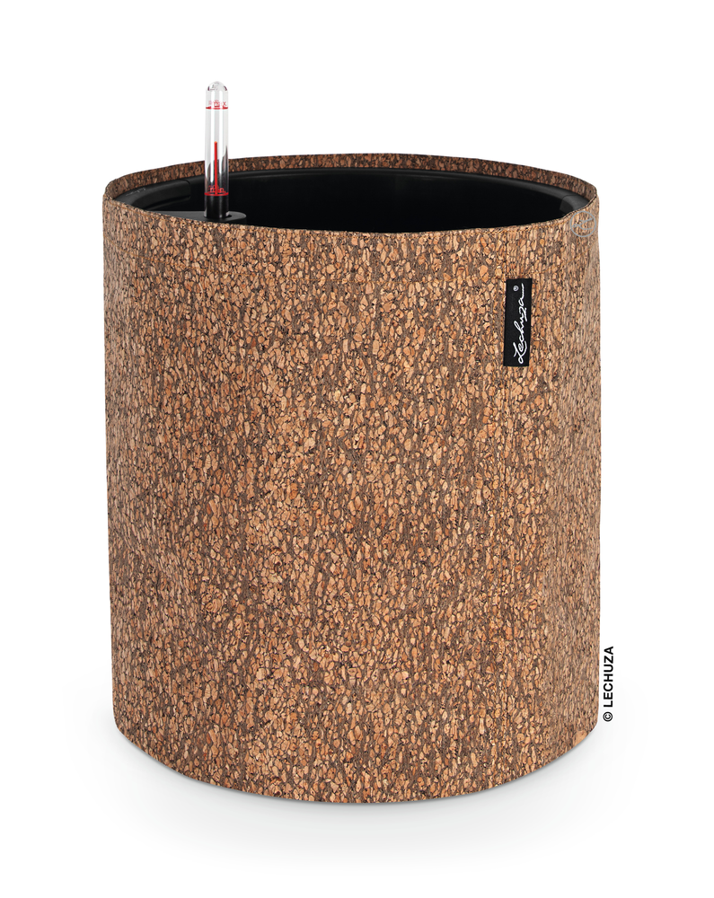 TRENDCOVER 32 Cork - All in One.