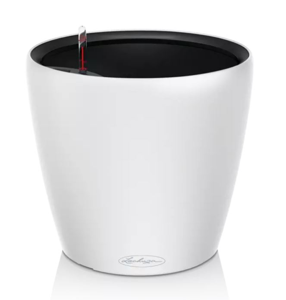 CLASSICO Color LS 43 - All-in-one White.