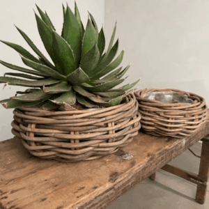 Basket Bowl Rattan incl. plastic lining Set 2