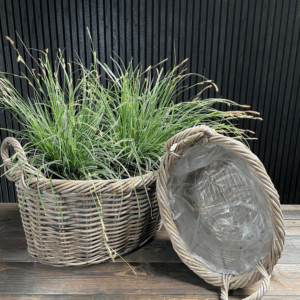 Basket Oval w/twistet top