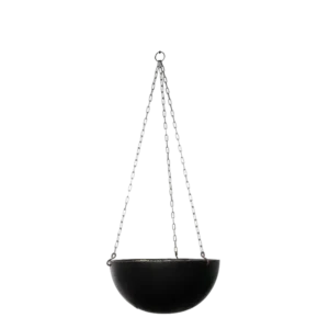 Ampler og Wallhangers