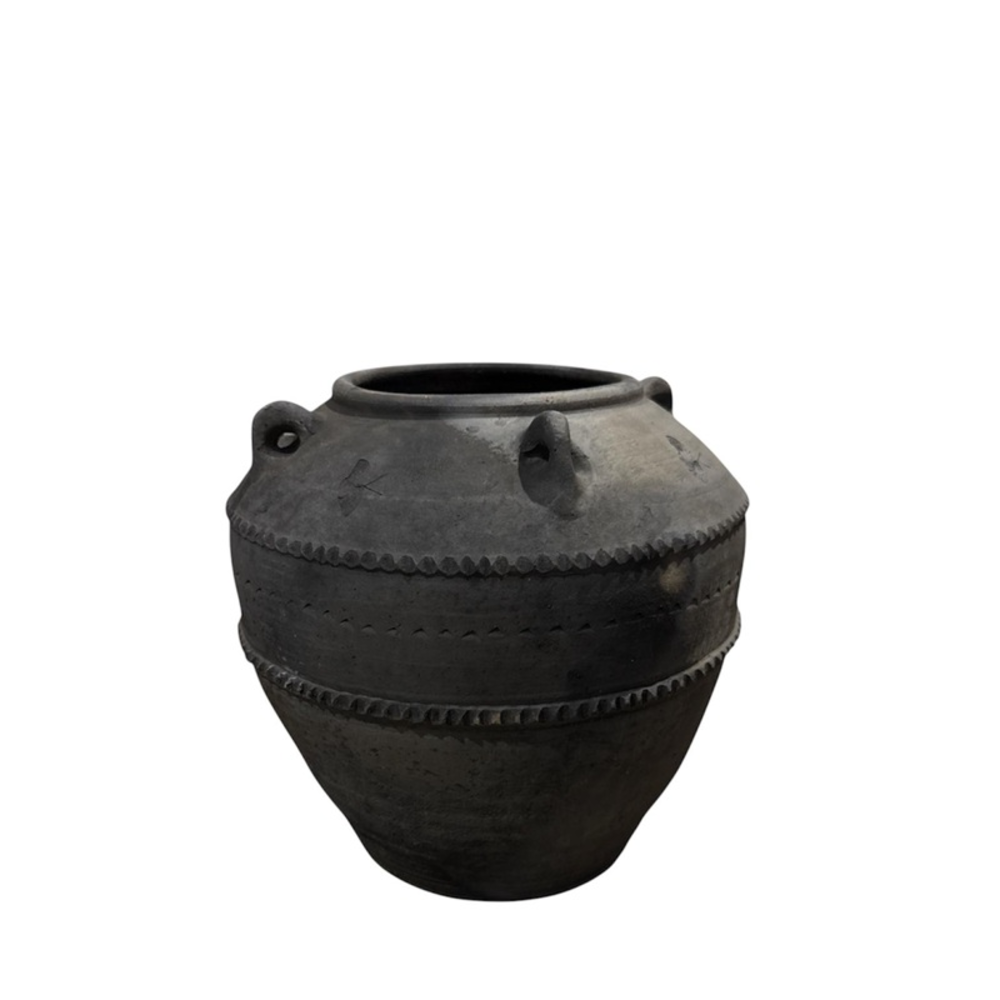 JAL-CHPOT20