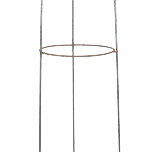 Allegria Opsats