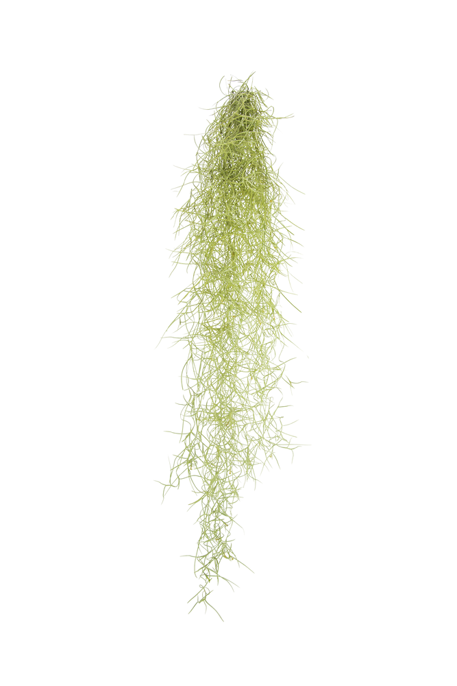 551658