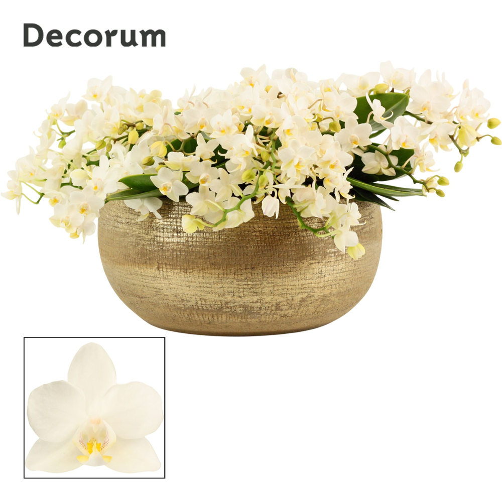 Aurelie table Whitney 12+ tak symphony (Deco-colle.