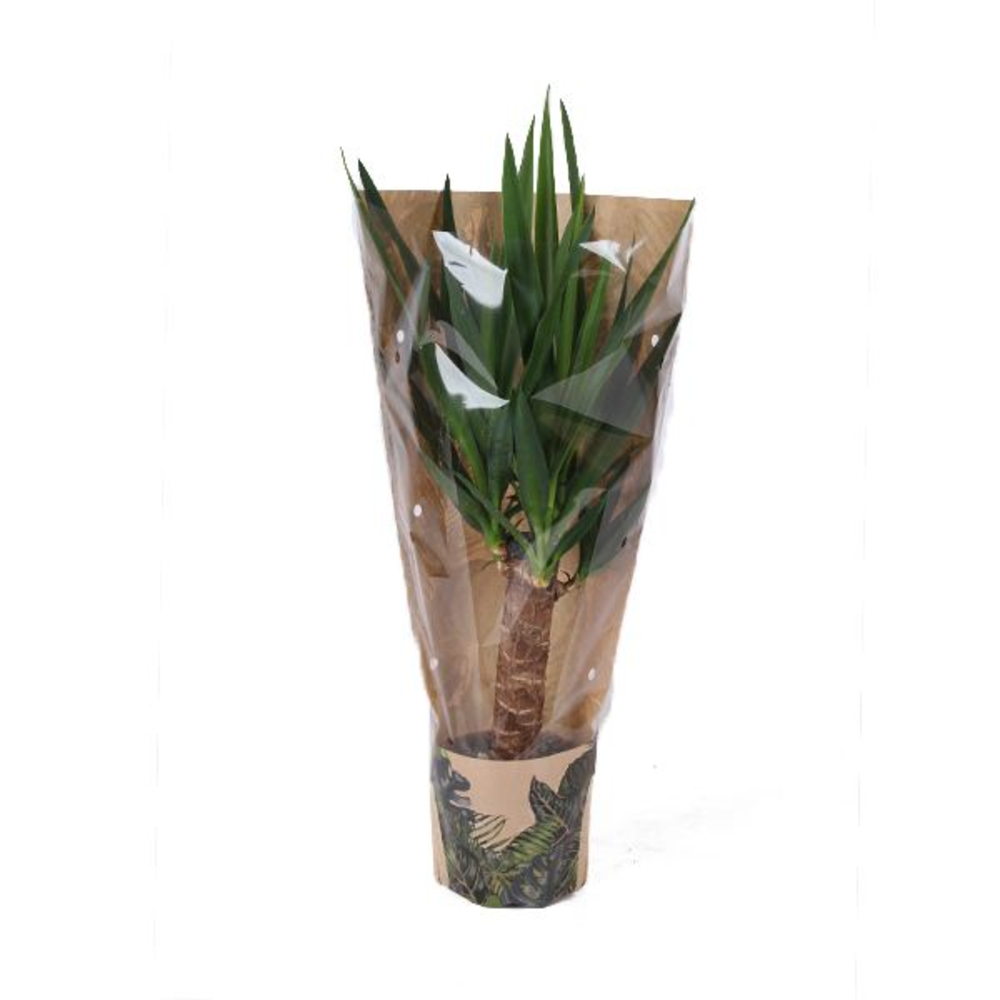 Groen Mix p14 in HOES GREEN JEWELS.