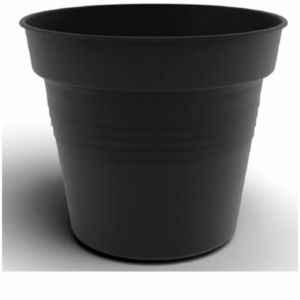 Flower Pot Camelie 32