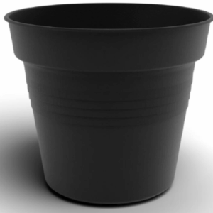 Flower Pot Camelie 44