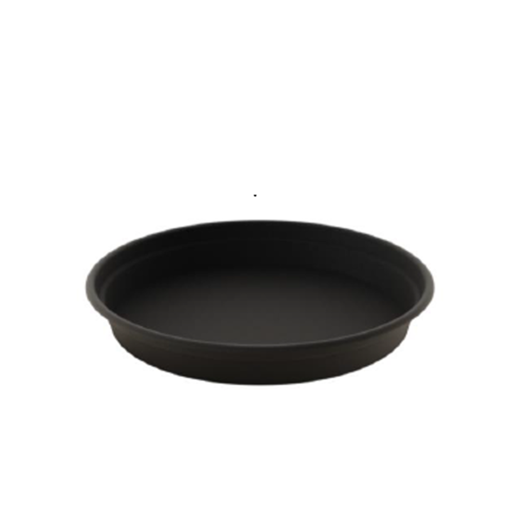 Saucer Camelie 13.