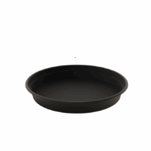 Saucer Camelie 33.