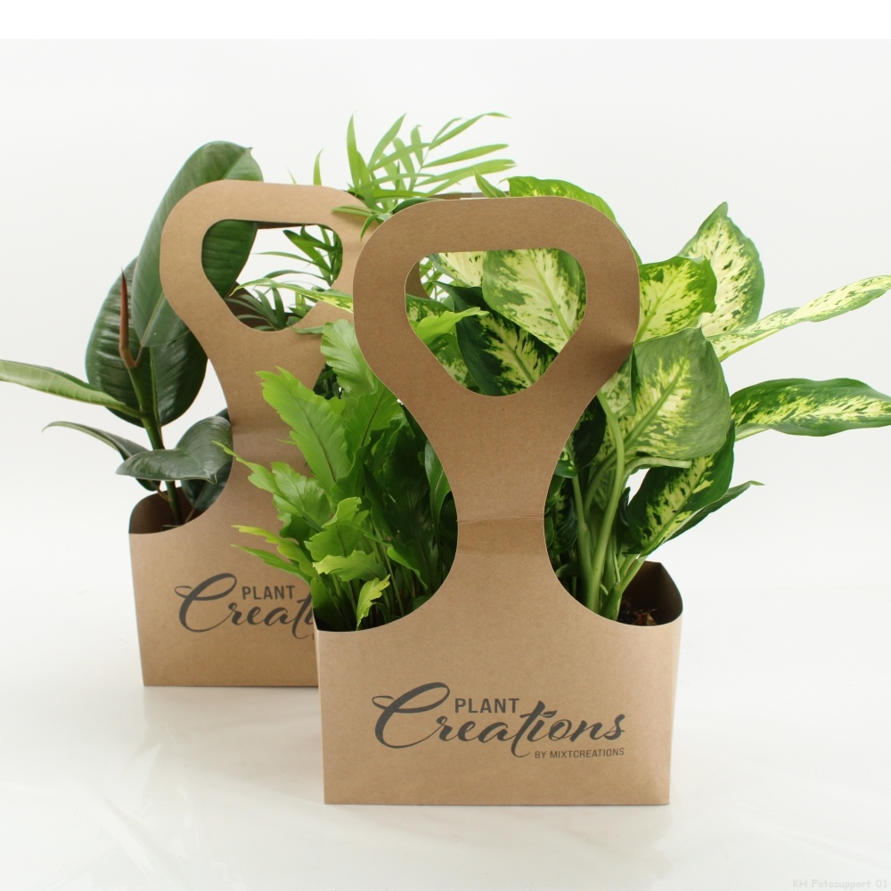 Tas 2 Ecotas met 2 planten.
