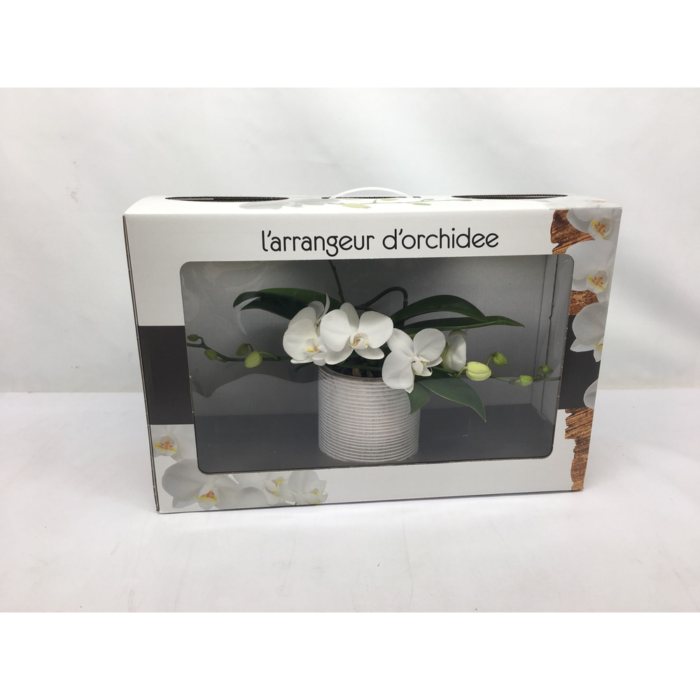 L'arrangeur D'orchidee (GROEN).