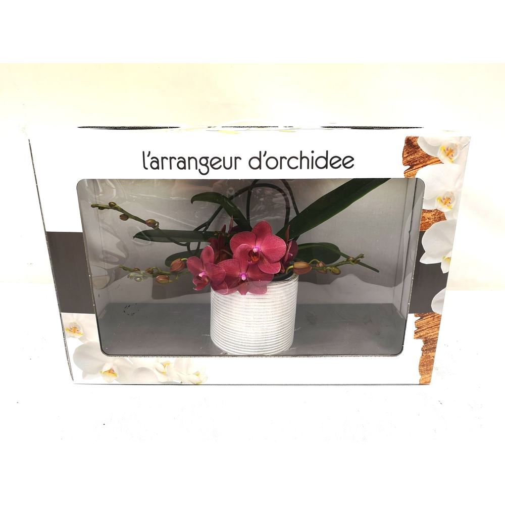 L'arrangeur D'orchidee Special (GROEN).