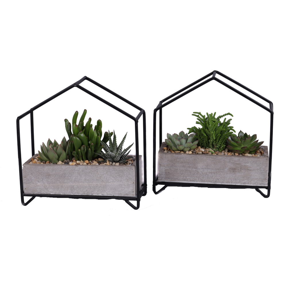 Succulenten mix in metalen huisplanter.