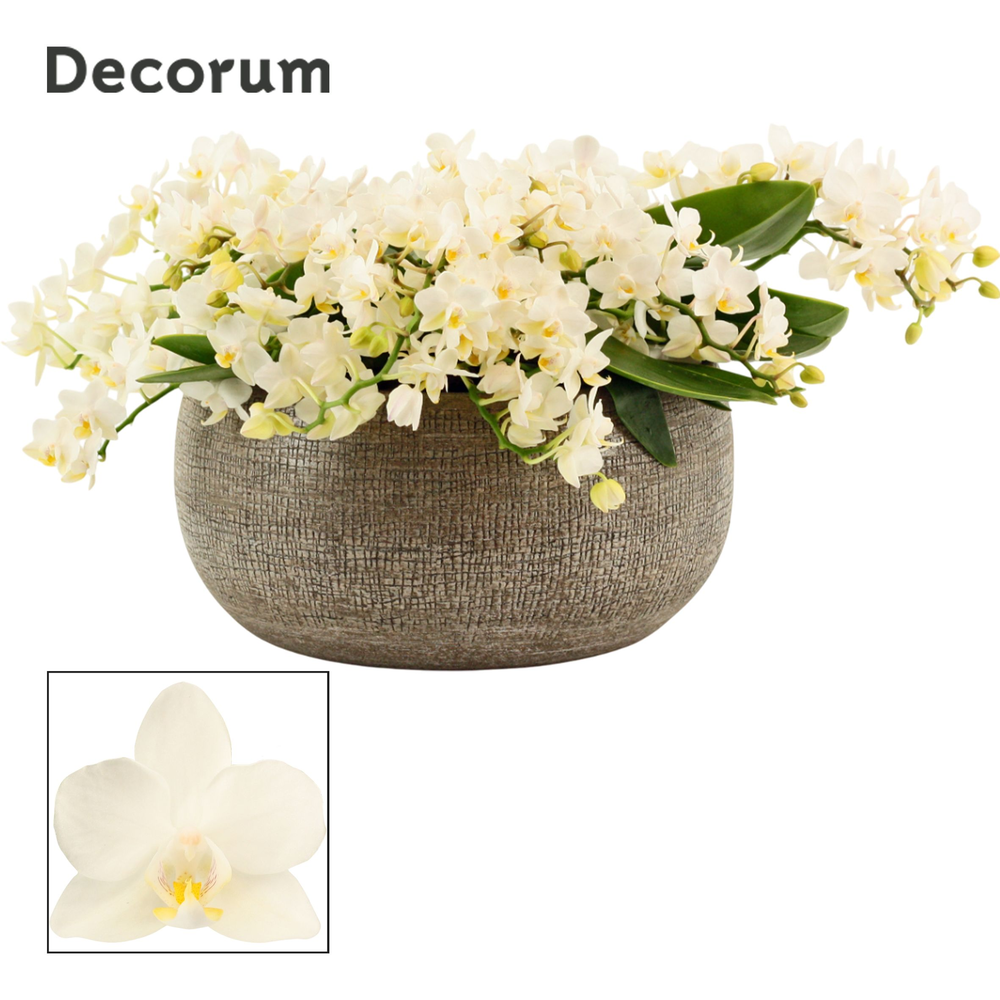 Bianca table Whitney 12+ tak symphony (Deco-collec.