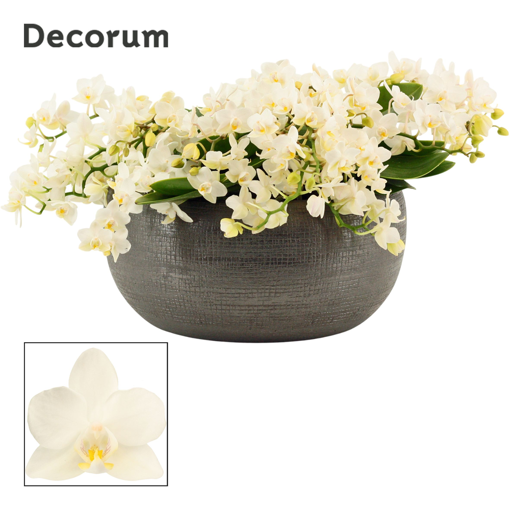 Nero table Whitney 12+ tak symphony (Deco-collecti.